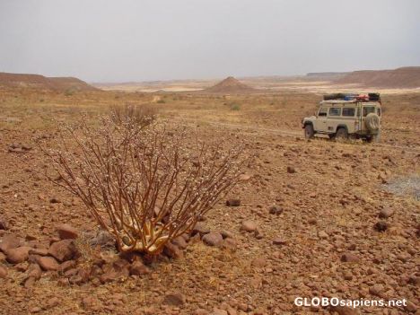 Postcard Damaraland