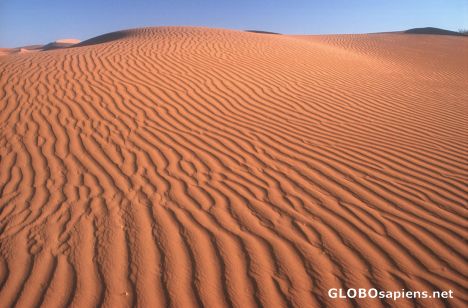 Postcard Sanddune