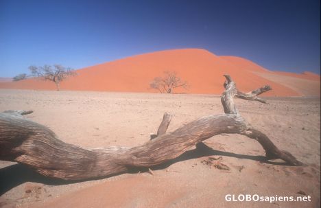 Postcard Red Sanddune