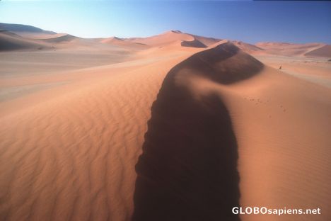 Postcard Sanddune