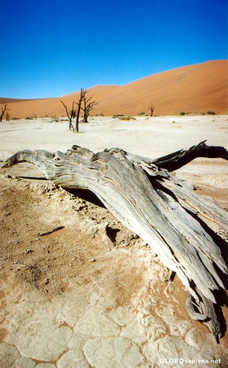 Postcard Namib Naukluft