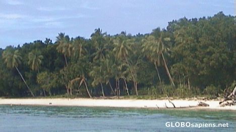 The coast of Alofi