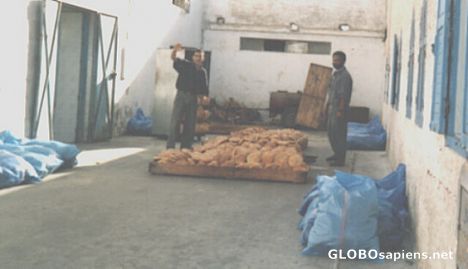 Postcard Dakhla Bakery
