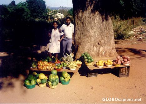 Postcard Roadside Fruit