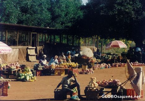 Postcard Everyday Marketday