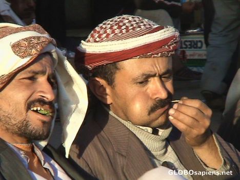 Postcard Chewing qat...