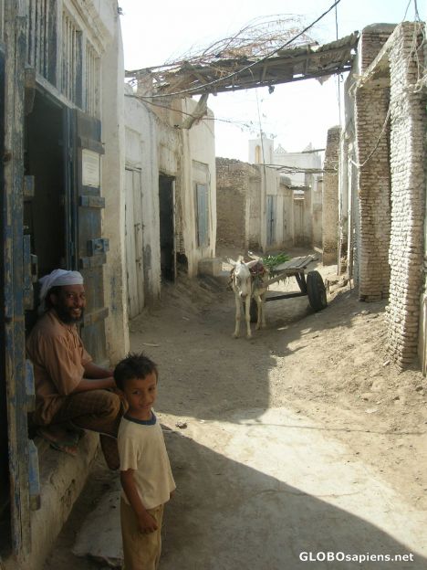 Postcard I sell my donkey