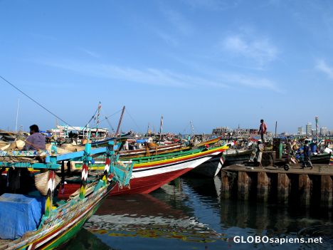Postcard the Hodeidah Harbour