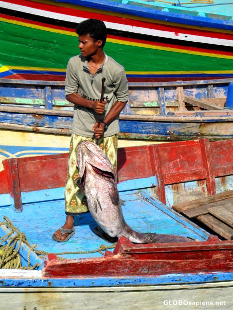 Postcard Hodeidah harbour
