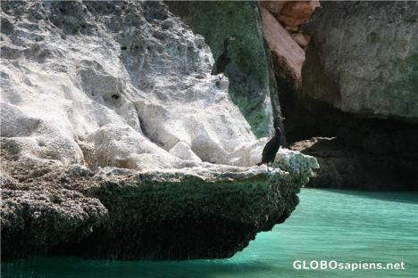 Postcard Socotra East Coast