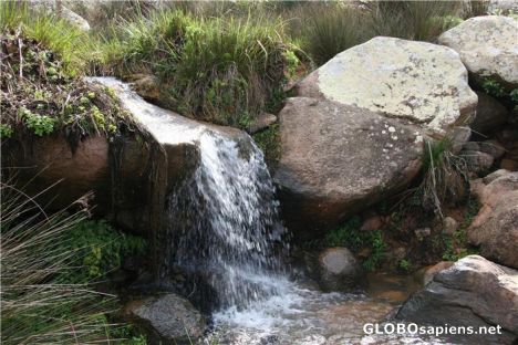 Postcard A Stream in the Haggier Mountains