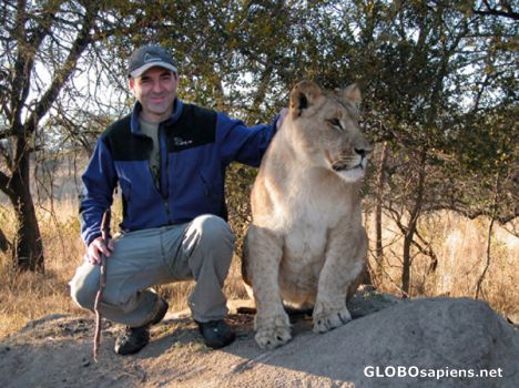Postcard Lioness and me.