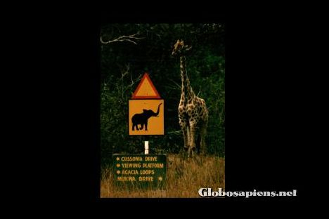 Postcard Zimbabwe