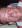 bigalan