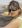 ferial_beh