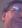glennpease
