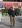 globaltrekke