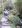 incatrail00