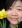 lingyi