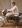 rohit007_s