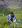 sadegh