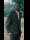 adegbola leonard babatund's travel page