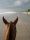 Anita's travel page