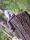 Femke's travel page