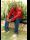 Walusimbi's travel page
