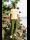 yasin's travel page