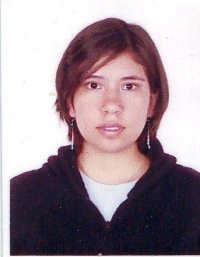 aremisa