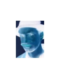 bludev