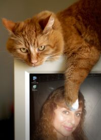 catzy2309