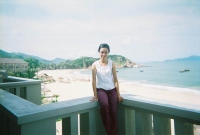 dolphin_ha