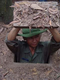 lnvinh