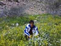 sadegh