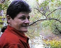 silvatungfox