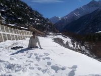 singhgauravk