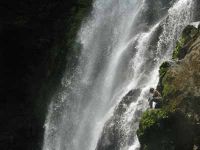 sumatralines