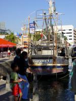 Acapulco travelogue picture