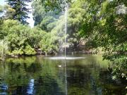 Botanic Gardens
