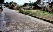 Temple of Herakles - and almond blossom