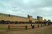 Aigues-Mortes travelogue picture