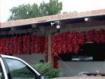 Albuquerque travelogue picture