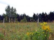 The abandoned playground. See the old baseball field structure?