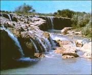 Nature at Ein Dara