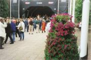 International Jazz Festival, Molde International Jazz Festival, Molde