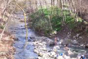 Not in the river, you may note! Not in the river, you may note!