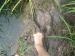 Alor Setar travelogue picture