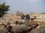 Amman travelogue picture